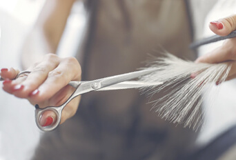 Medavita Ukraine - генеральний партнер Першого онлайн-чемпіонату України з перукарського мистецтва