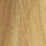 C83